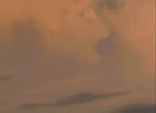 Girls’ Night In: The Ultimate Guide